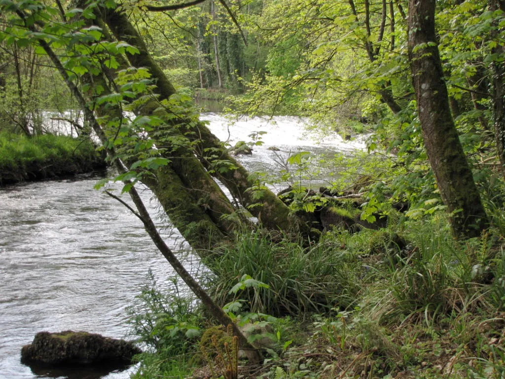 Inventaires « zones humides-cours d&rsquo;eau »